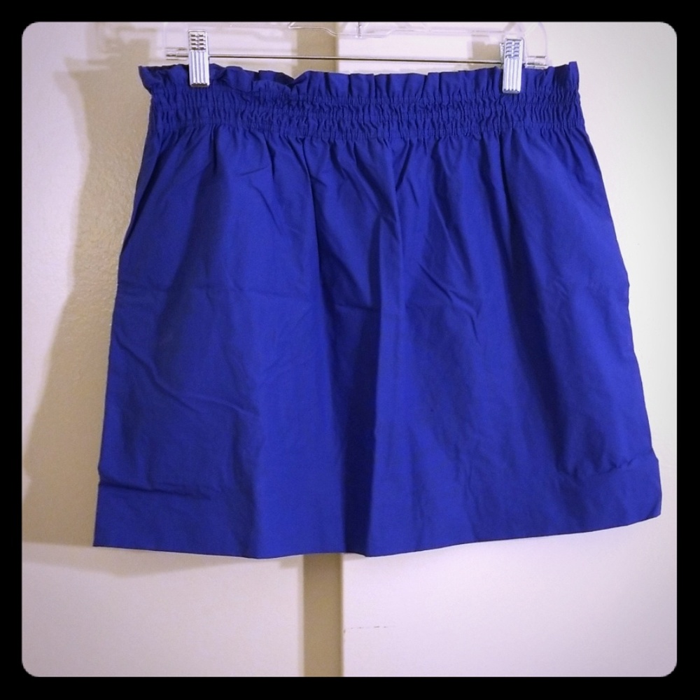 Blue Sidewalk Skirt